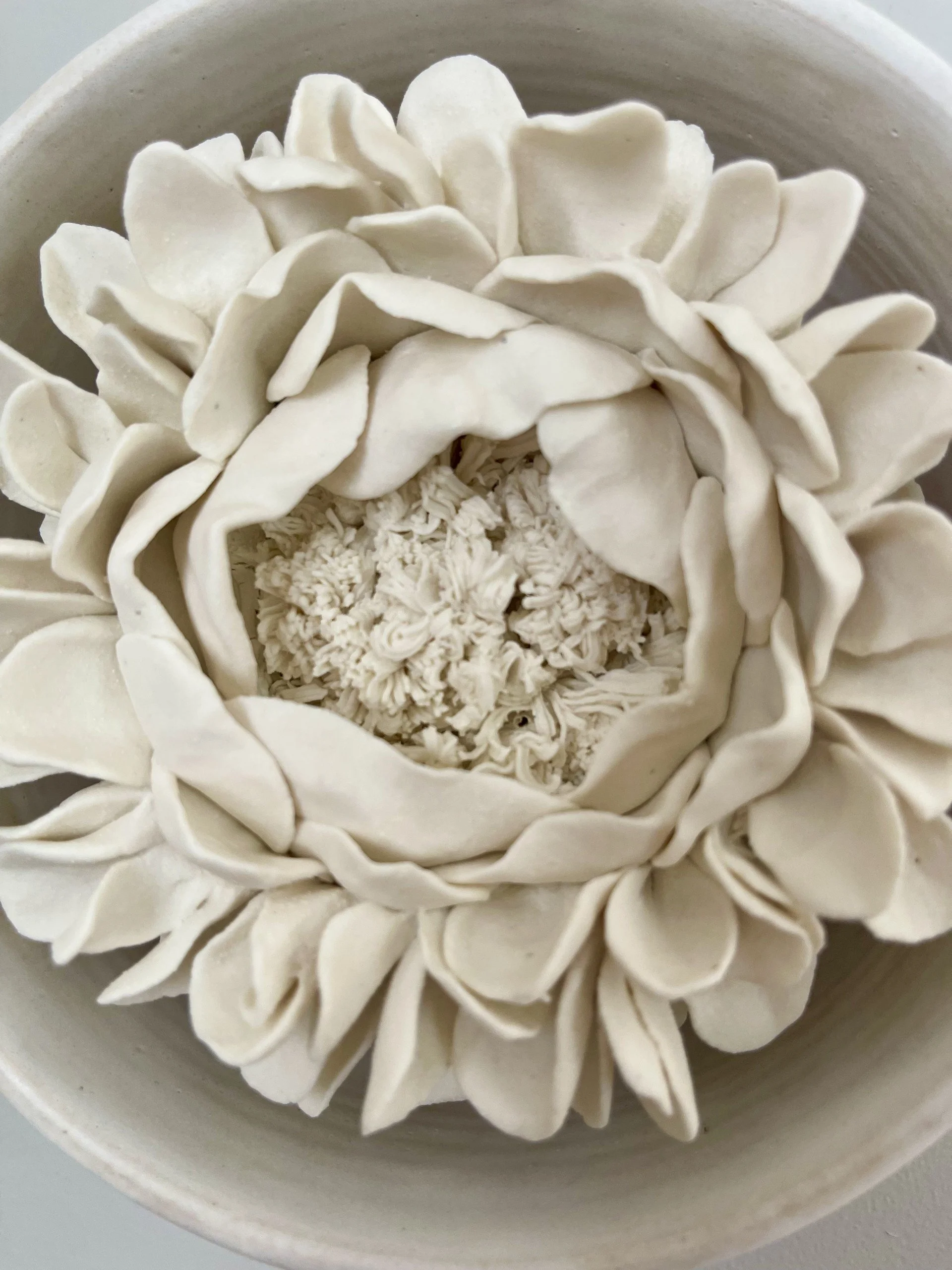 Kate Kelleher Sculptural Ceramics - Framed porcelain flower art